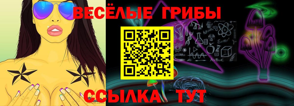 Псилоцибиновые грибы ЛСД  Вход с VPN  Галлюциногенные грибы MAGIC MUSHROOMS  цены   Ейск 
